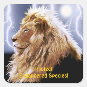 Stickers faune africaine Lion en voie de dispariti