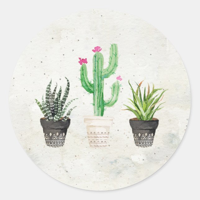 Stickers Favoriser les cactus Succulents du désert (Devant)