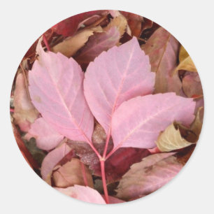 Stickers Feuille rouges