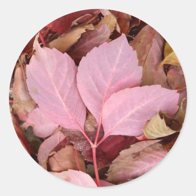 Stickers Feuille rouges (Devant)