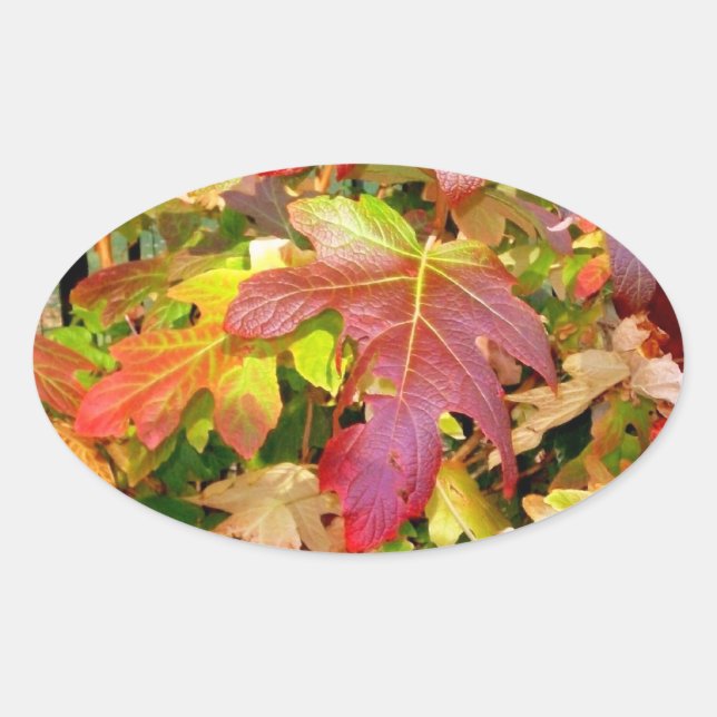 Stickers 'Feuilles d'automne' (Devant)