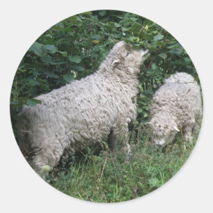 Stickers Feuilles mignons Mange Mouton