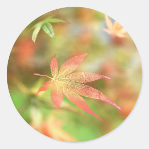 Stickers Filigree Automne