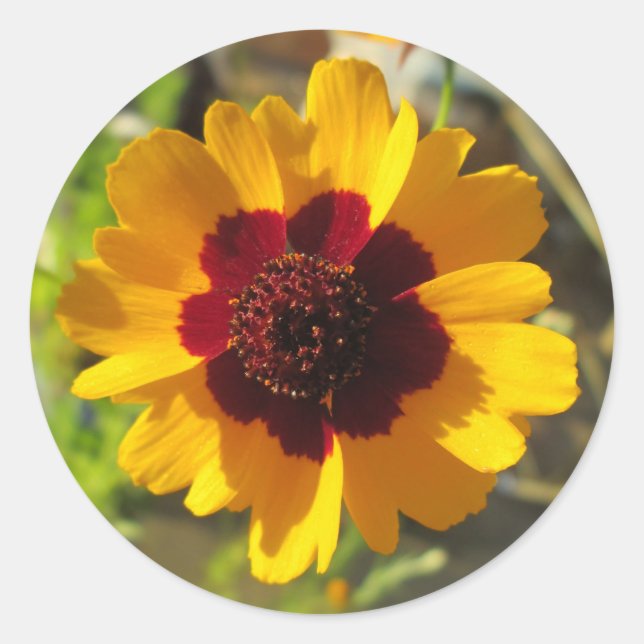 Stickers - Fleur de couverture (Devant)