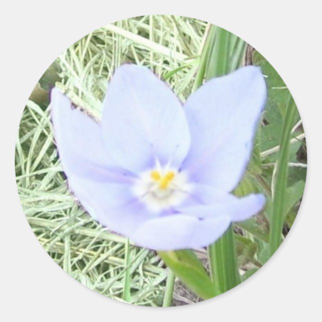 Stickers Fleur sauvage bleu souriant (Devant)