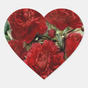 Stickers Fleurs de Carnation Rouge