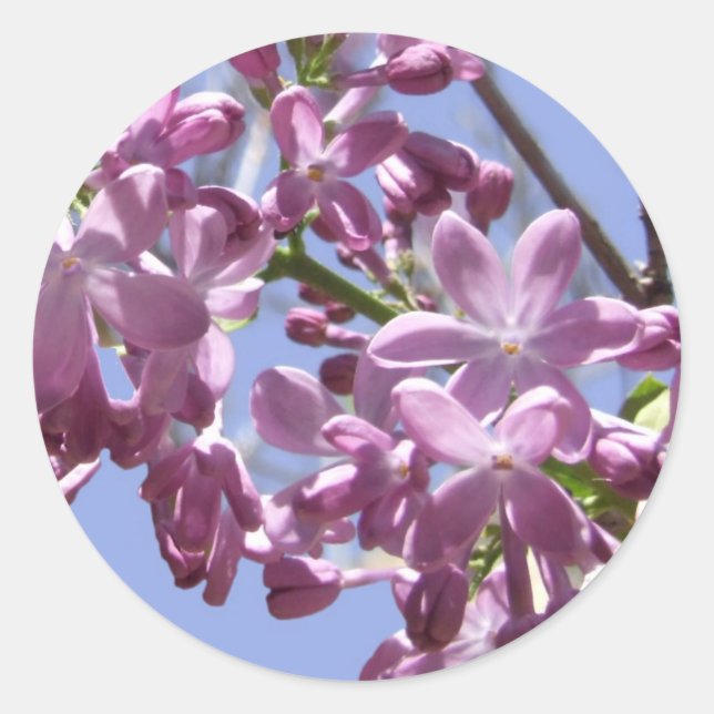 Stickers Fleurs de ressort (Devant)