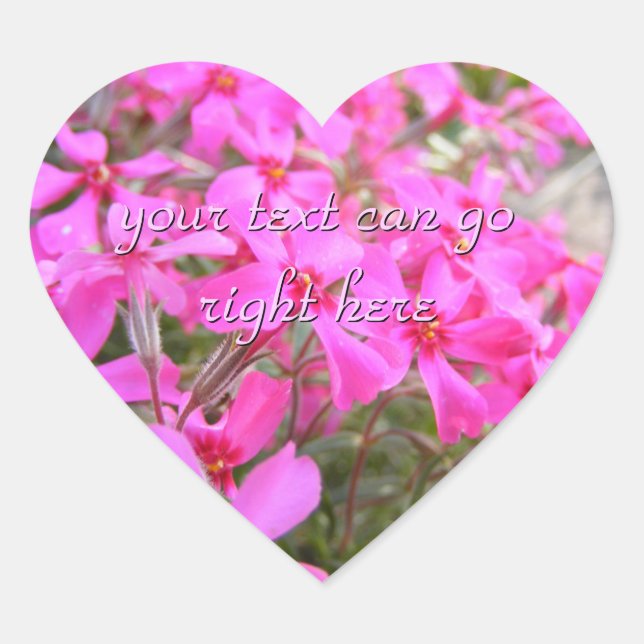 Stickers Fleurs Pink Phlox (Devant)
