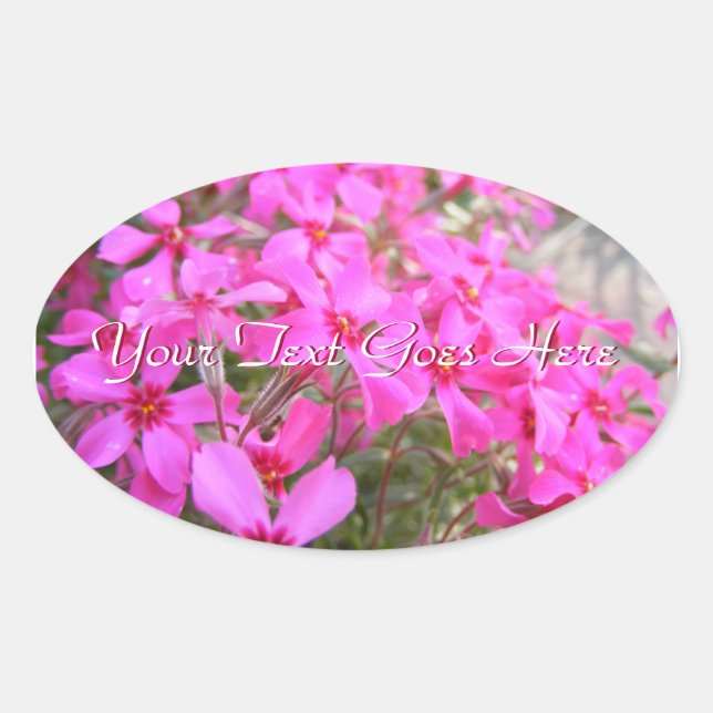 Stickers Fleurs Pink Phlox (Devant)