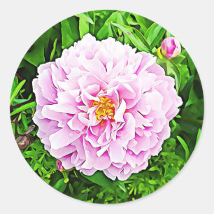 Stickers Floral Peonie rose