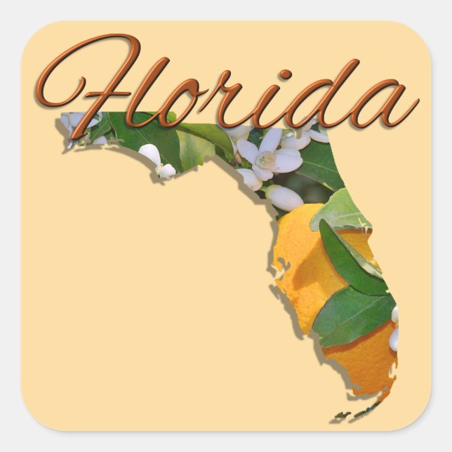 Stickers - FLORIDA (Devant)