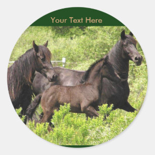 Stickers Friesian Mares #1