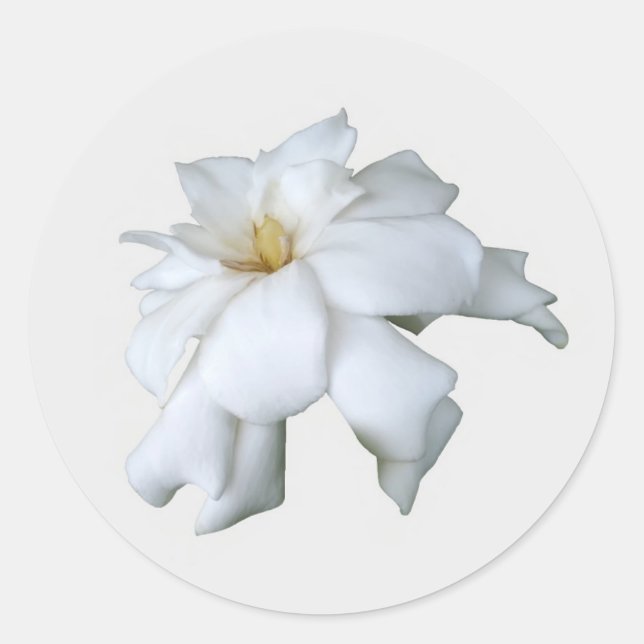 Stickers Gardenia (Devant)