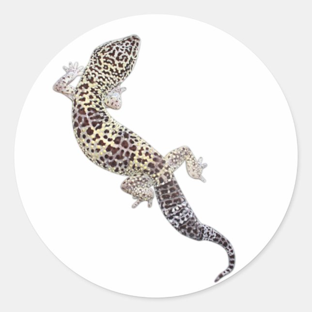 Stickers Gecko 01 (Devant)