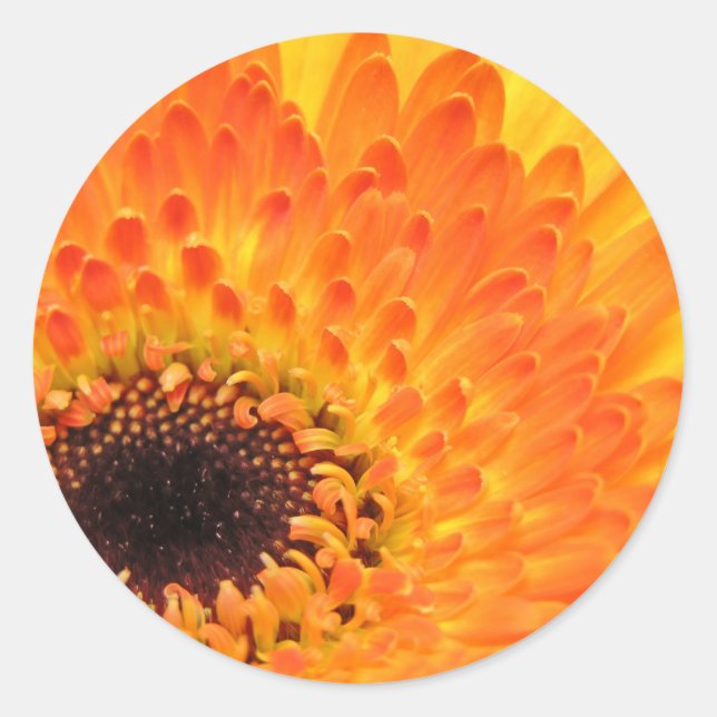 Stickers Gerber Jaune (Devant)