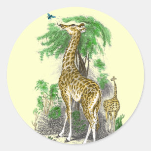 Stickers Giraffe