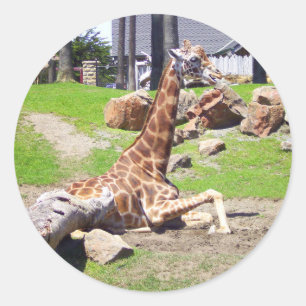 Stickers Giraffe #3