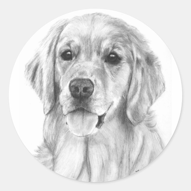 Stickers Golden Retriever Sketch (Devant)