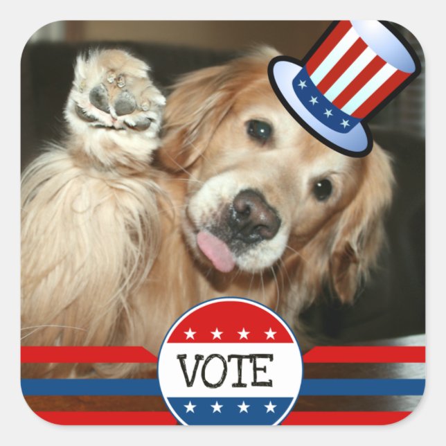 Stickers Golden Retriever VOTE (Devant)