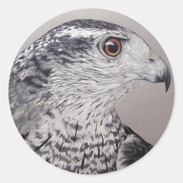 Stickers Goshawk (Devant)