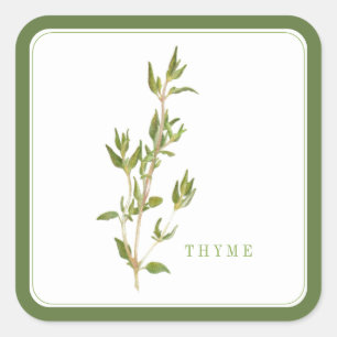 Stickers grand Carré FRAIS THYME - Vert
