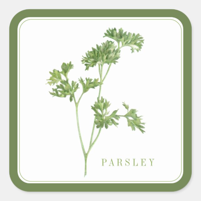 Stickers grand Carré PARSLEY FRAIS - Vert (Devant)