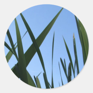 Stickers Grass