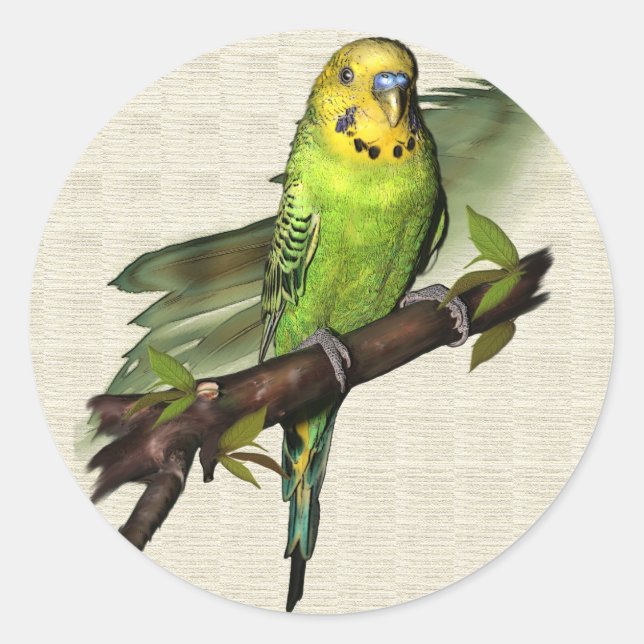Stickers Green Budgie (Devant)
