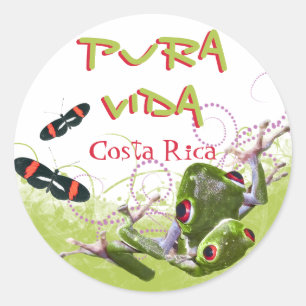 Stickers Grenouille du Costa Rica Pura Vida