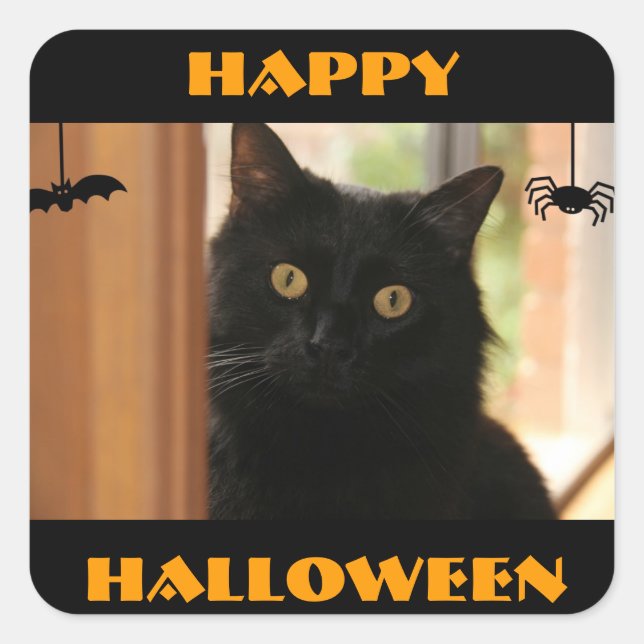 Stickers Halloween Chat Noir (Devant)