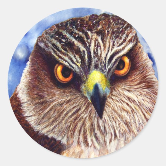 Stickers Hawk (Devant)