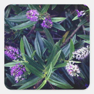 Stickers Hebe Mauve Doigts