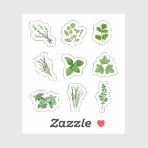 Stickers Herbe