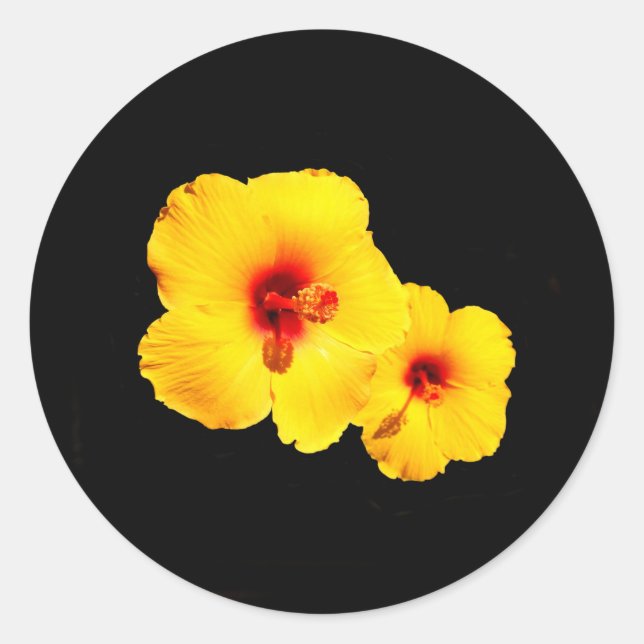 Stickers Hibiscus Jaune (Devant)