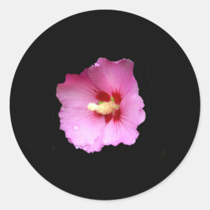 Stickers Hibiscus rose