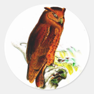 Stickers hibou