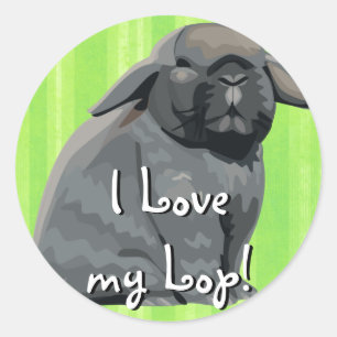 Stickers Holland Lop