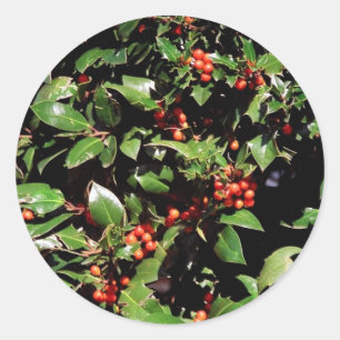 Stickers Holly et Berries