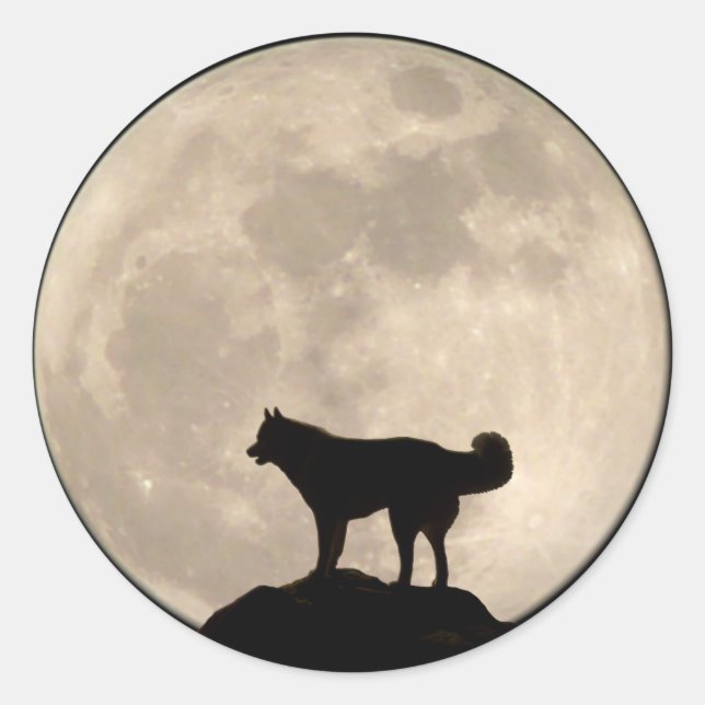 Stickers Husky Siberian Husky Stickers Malamute (Devant)