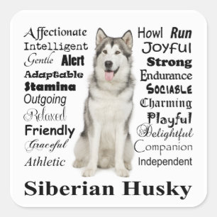 Stickers Husky Traits