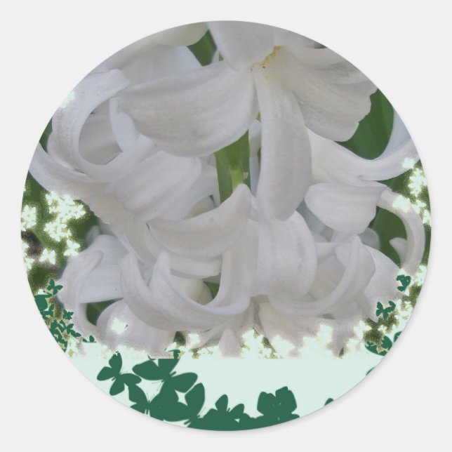 Stickers Hyacinths blancs (Devant)