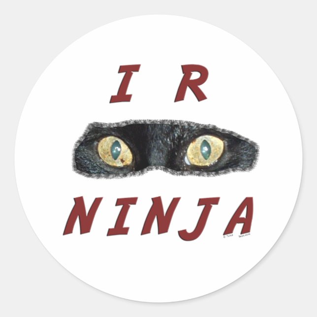 Stickers I-R-Ninja (Devant)