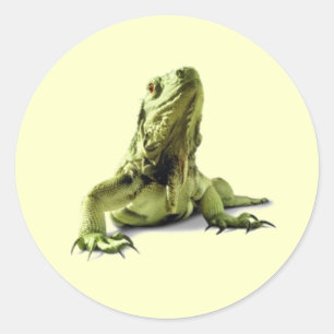 Stickers Iguana Vert