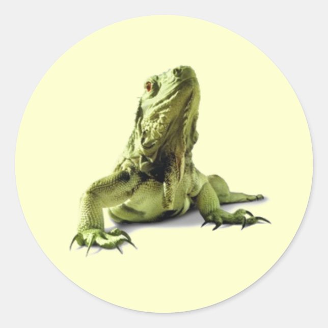 Stickers Iguana Vert (Devant)