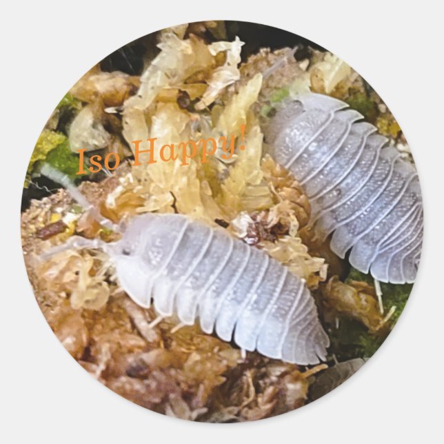 Stickers Iso Happy (Devant)