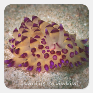 Stickers Janolus savinkini