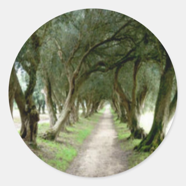 Stickers Jardin d'Olivier (Devant)