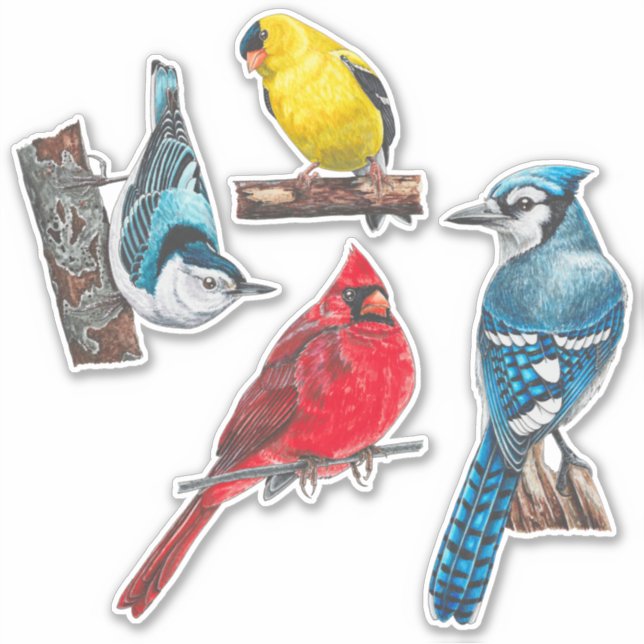 Stickers jardin Oiseaux Pack valeur (Devant)