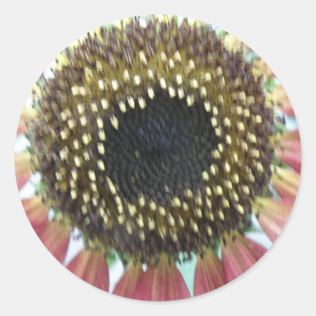 Stickers Joli Tournesol Rose (Devant)