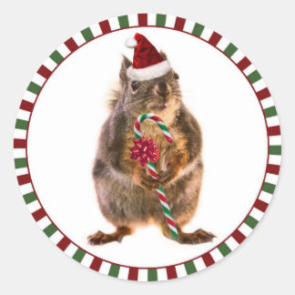 Stickers Joyeux écureuil de Noël